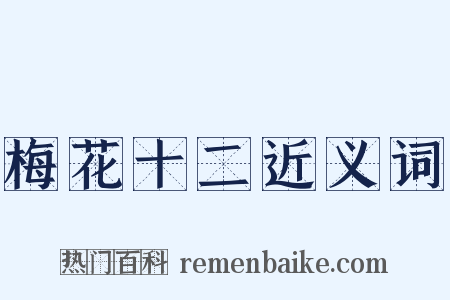 梅花十二近义词是什么意思的图片